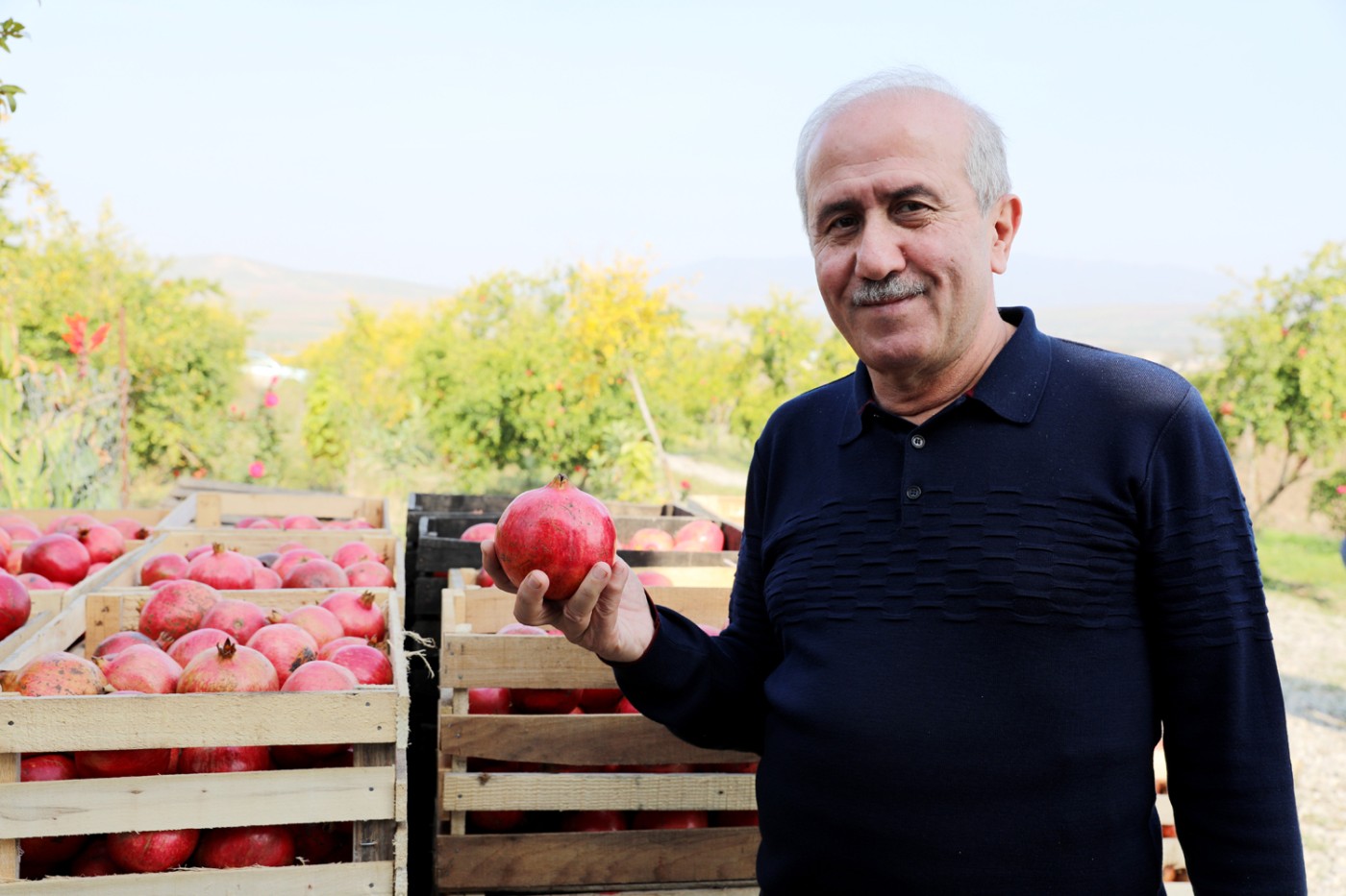 “Şəhərdən Kəndə” layihəsi çərçivəsində aqroturizm təsərrüfatlarına infotur təşkil olunub - FOTOLAR