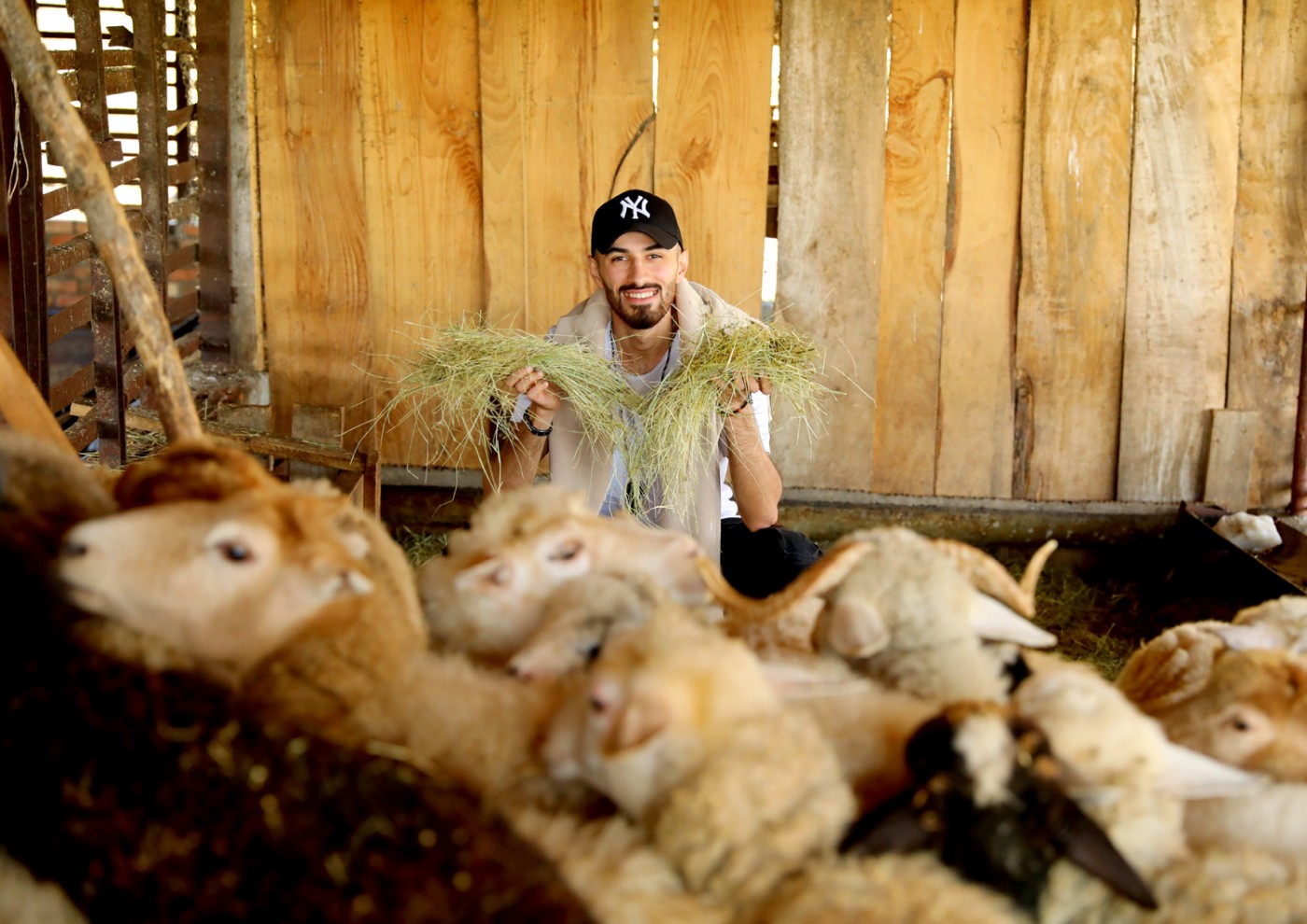 “Şəhərdən Kəndə” layihəsi çərçivəsində aqroturizm təsərrüfatlarına infotur təşkil olunub - FOTOLAR