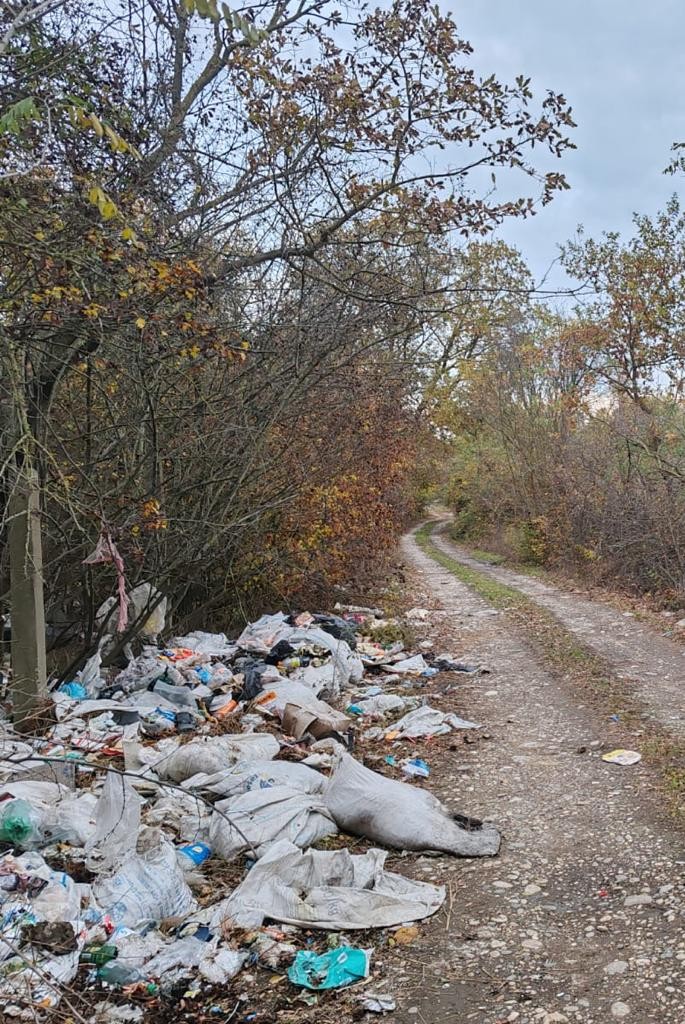 Xaçmazda bələdiyyə sədri məsuliyyətə cəlb edildi