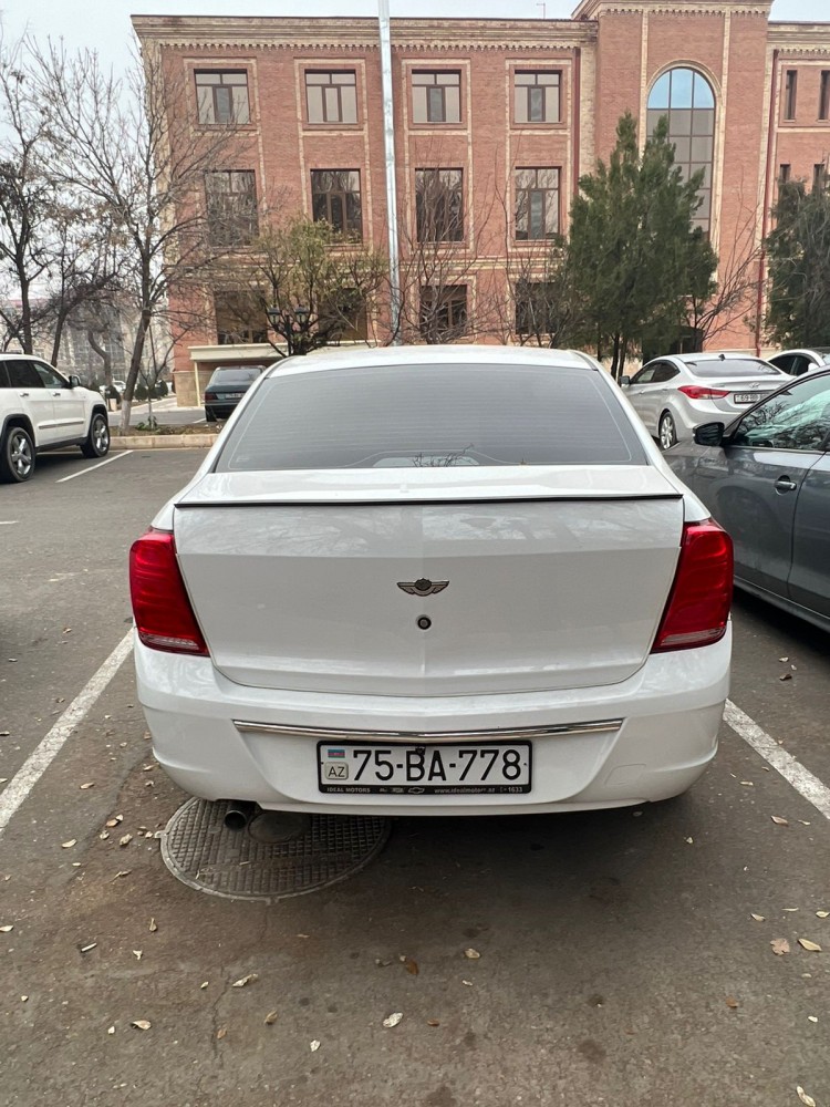 Naxçıvanda narkotikin təsiri ilə maşın sürən şəxs saxlanıldı - FOTO