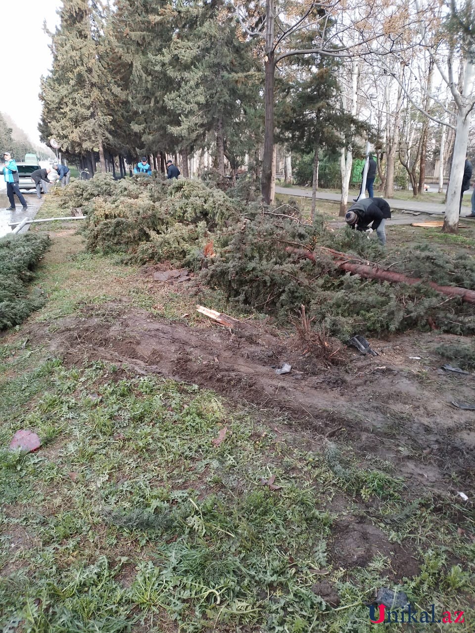 Mingəçevirdə "BMW" işıq dirəyinə çırpıldı - FOTO