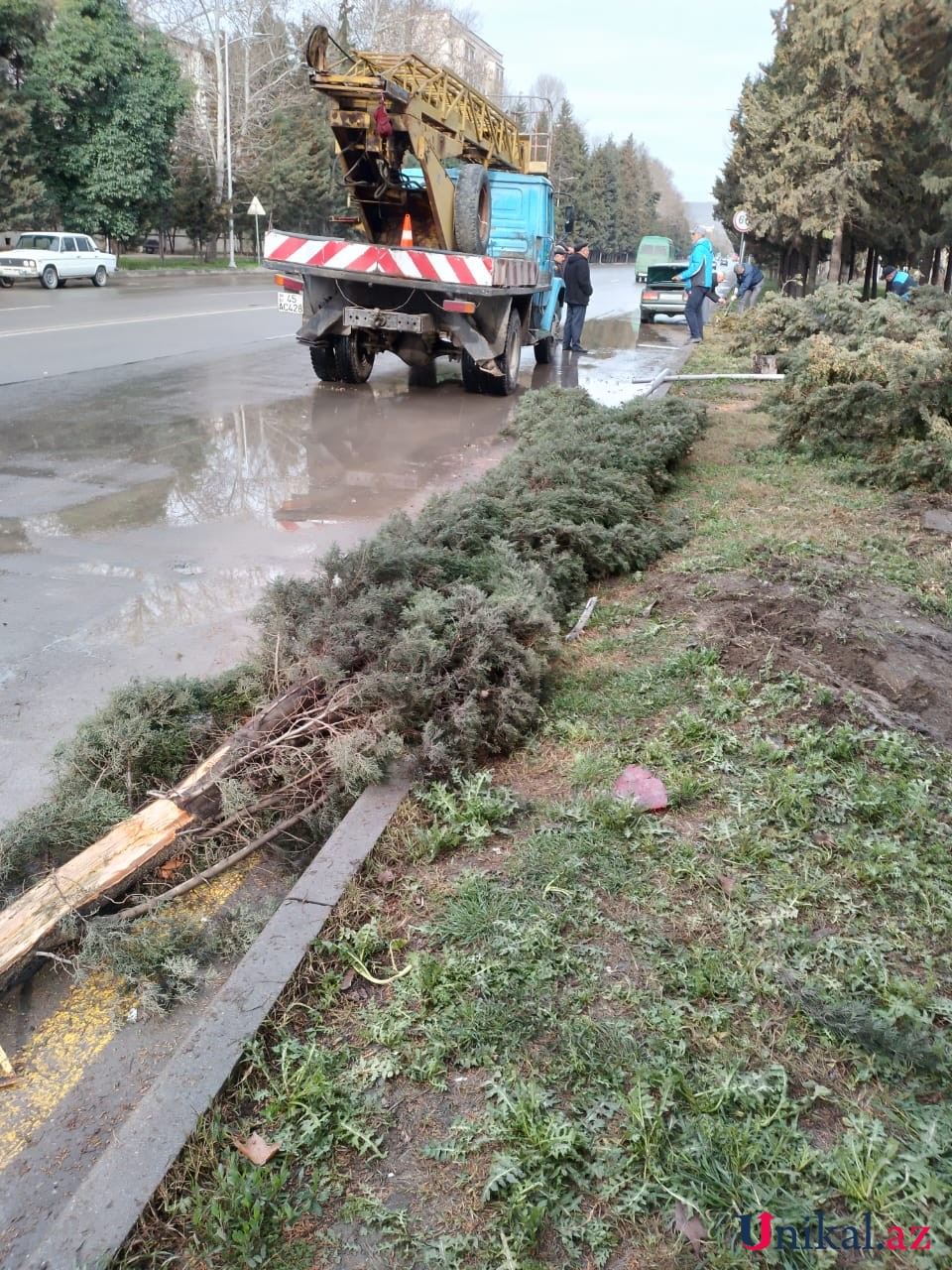 Mingəçevirdə "BMW" işıq dirəyinə çırpıldı - FOTO