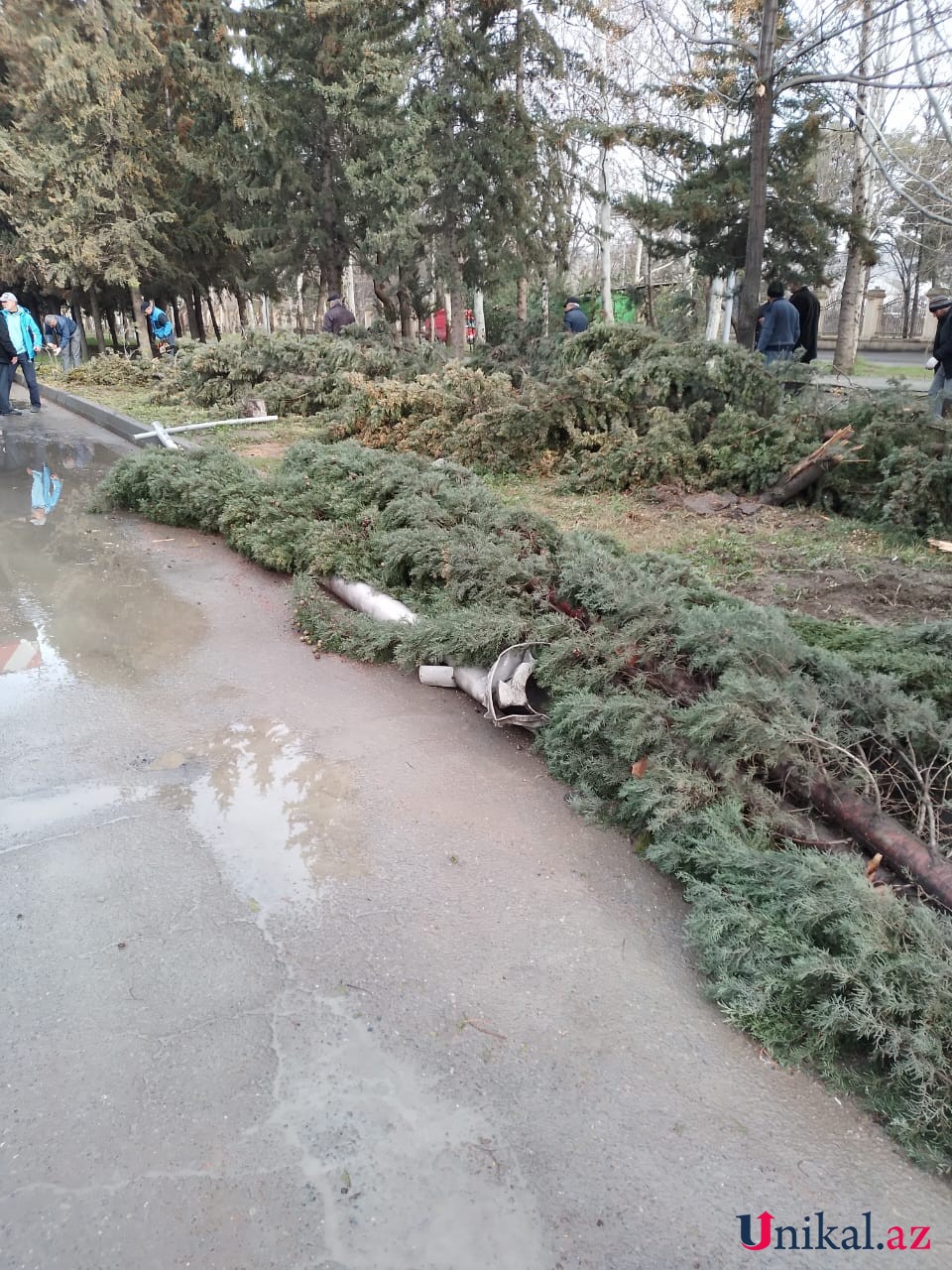 Mingəçevirdə "BMW" işıq dirəyinə çırpıldı - FOTO