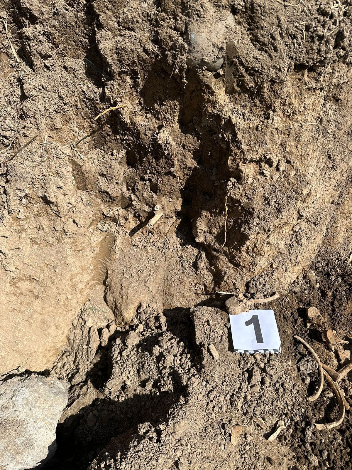 Xocalıda yenə insan qalıqları tapıldı - FOTOLAR