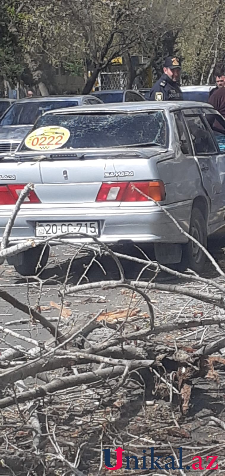 Külək ağacı taksinin üzərinə aşırdı - Sərnişin xəsarət aldı (FOTO)