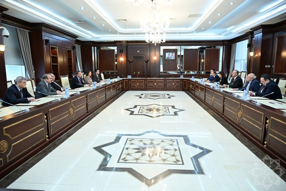 "Azərbaycanla Türkiyə hər zaman ikili standartlara qarşı mübarizə aparıb" - Çavuşoğlu