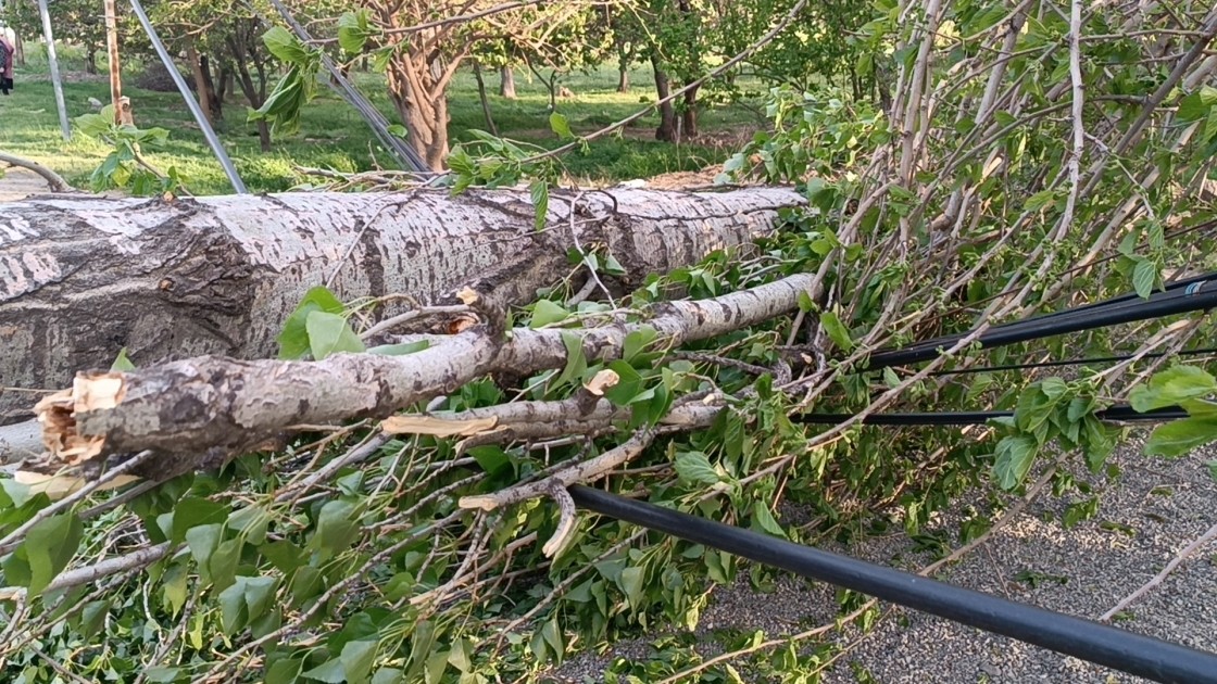Güclü külək Ağstafada fəsadlar törətdi - FOTOLAR