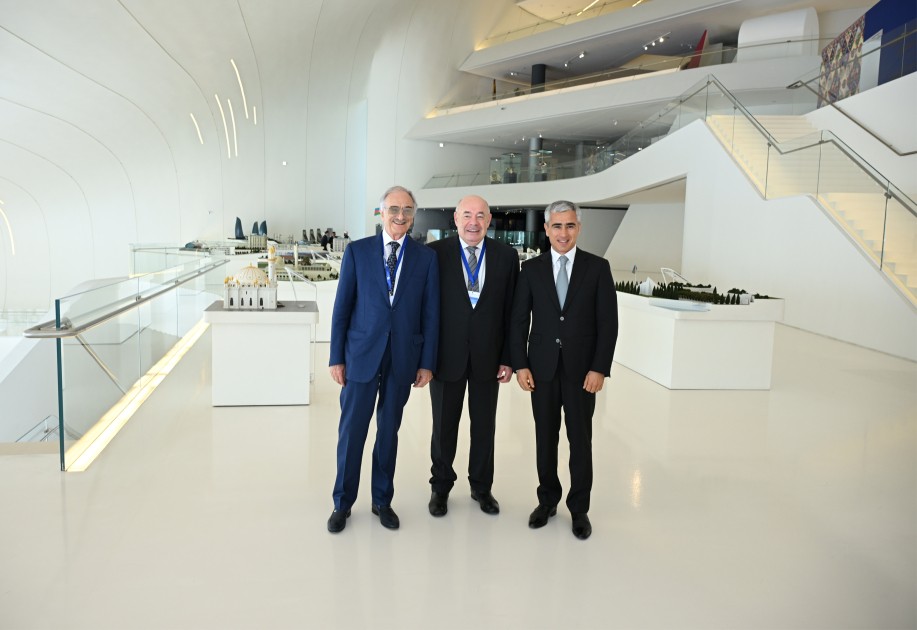 Mixail Şvıdkoy Bakıda Prezidentin köməkçisi ilə görüşdü - FOTOLAR