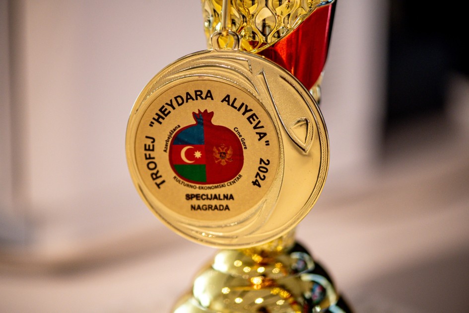 Monteneqroda Heydər Əliyevə həsr olunmuş şahmat turniri keçirilib - FOTOLAR