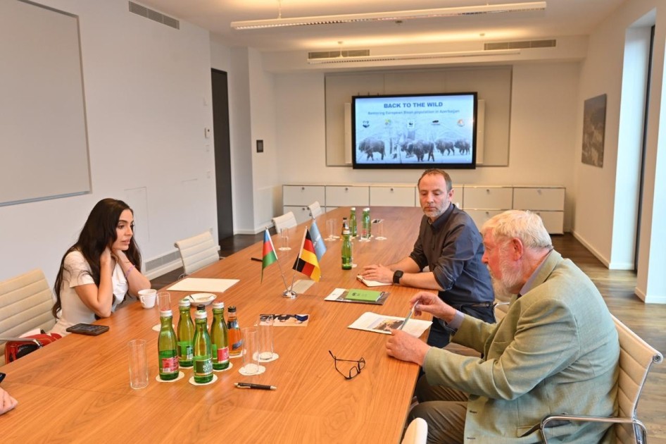 Leyla Əliyeva Berlində işgüzar səfərdə - FOTOLAR