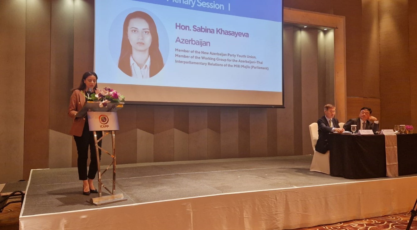 YAP nümayəndə heyəti ICAPP Biznes Şurası və Daimi Komitəsinin iclaslarında iştirak etdi - FOTOLAR