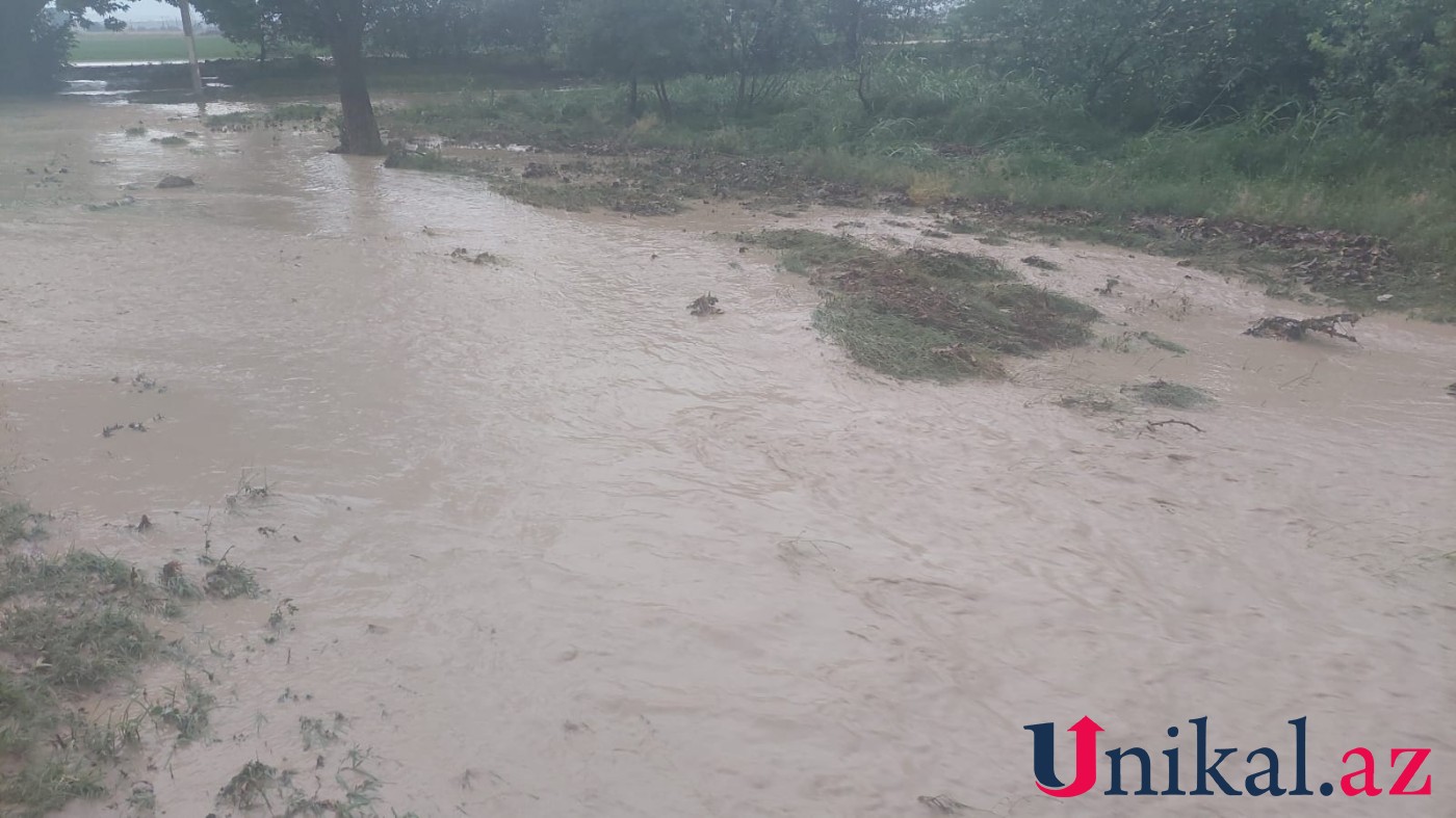 Güclü yağış Goranboyda fəsadlar törədib 