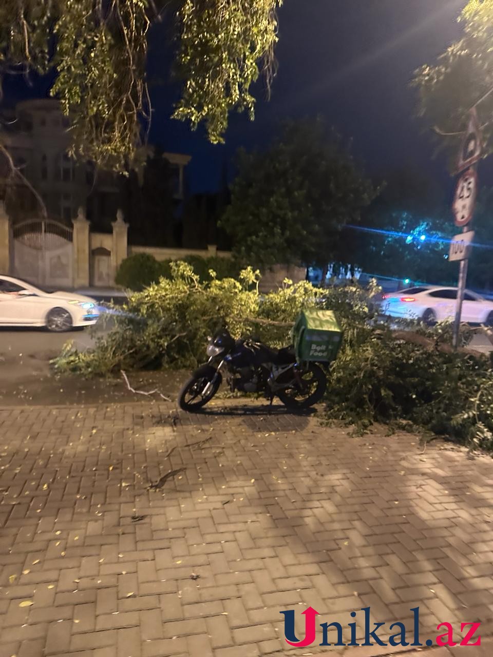 Paytaxtda ağac aşdı - FOTO