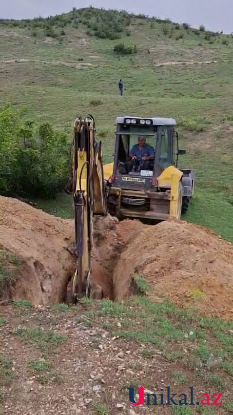 Şəmkirdə bir gündə 37 inək dərmandan zəhərlənərək ÖLDÜ - FOTOLAR
