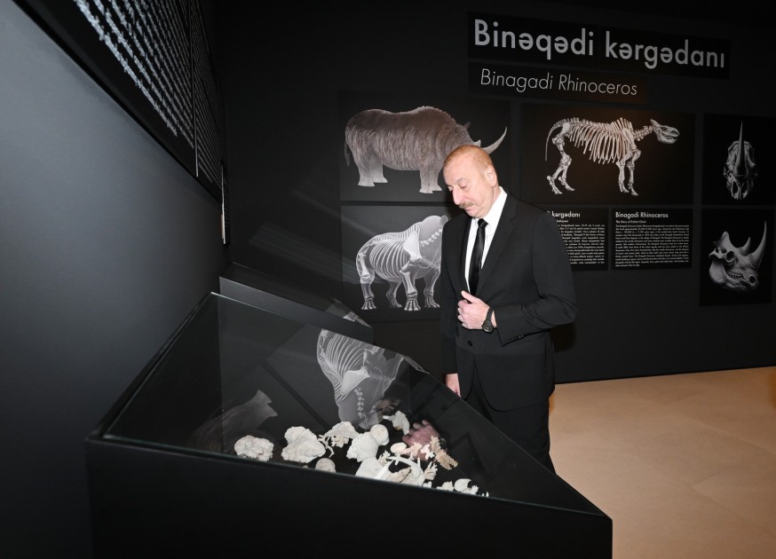 İlham Əliyev Palçıq Vulkanları Turizm Kompleksinin açılışında - FOTOLAR