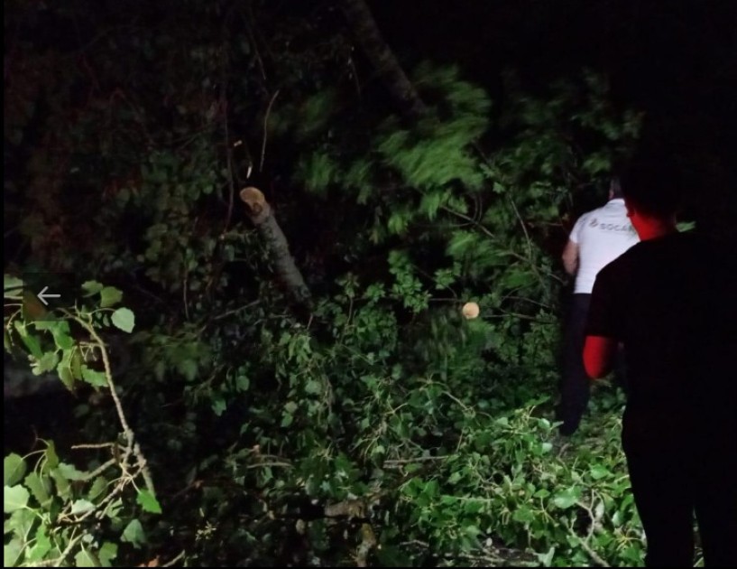 Oğuzda küləyin yaratdığı fəsadlar aradan qaldırıldı - YENİLƏNİB