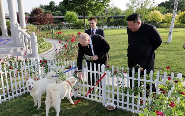 Kim Çen In Putinə nadir it cinsi hədiyyə edib - FOTO