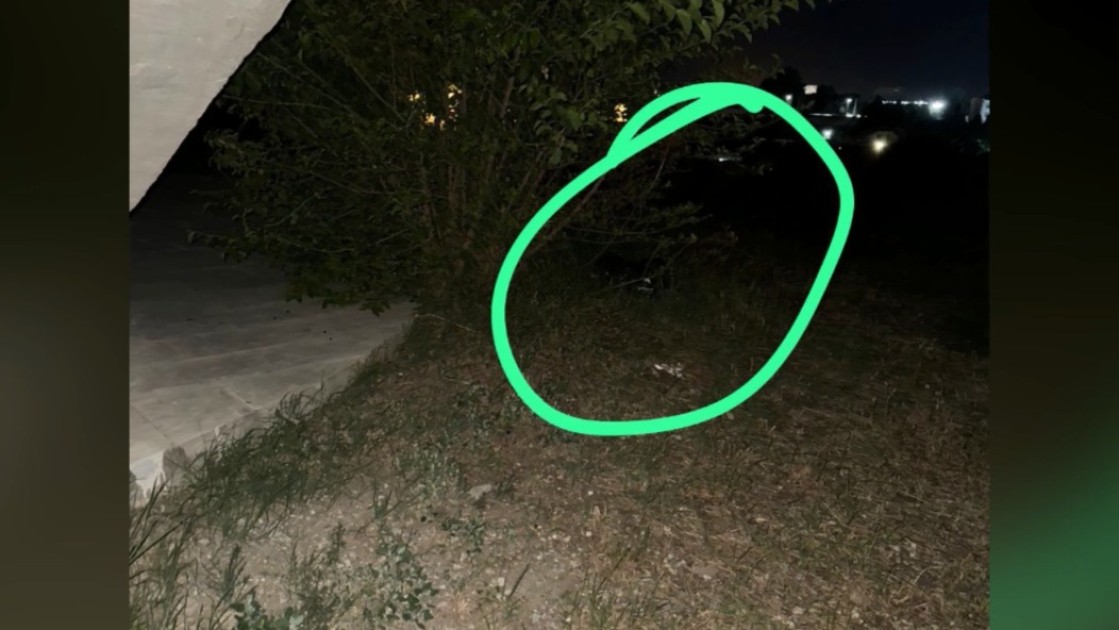 Gəncədə narkokuryerdən 20 kiloqramdan çox heroin aşkarlandı - FOTOLAR