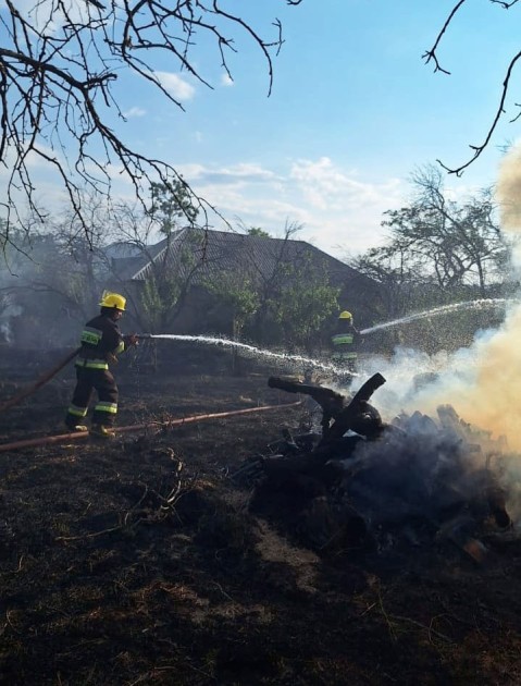 Şahbuzda həyətyanı sahə yandı - FOTOLAR