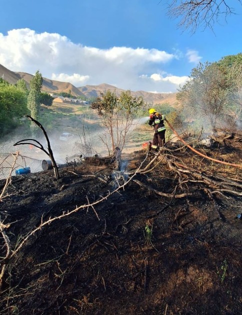 Şahbuzda həyətyanı sahə yandı - FOTOLAR