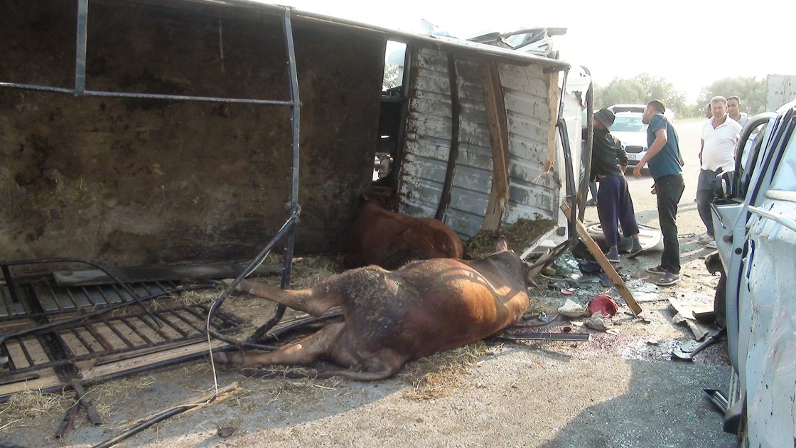 İmişlidə qəza oldu, yaralananlar var - YENİLƏNİB (VİDEO)