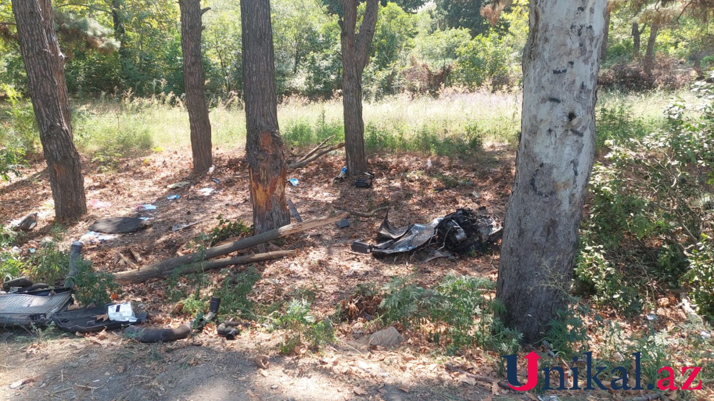 Şəmkirdə "Passat" ağaca çırpıldı