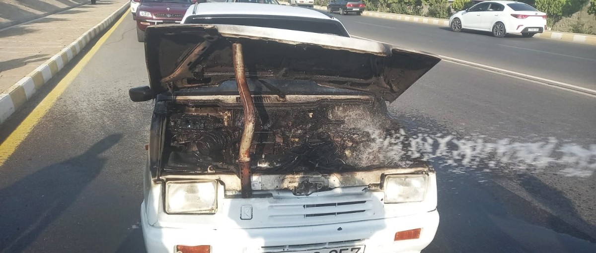 Babək və Şahbuz şəhərlərində yanğın - FOTO