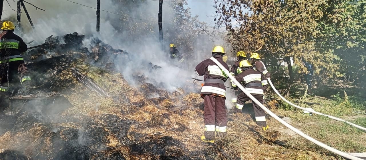 Naxçıvanda taxıl sahələri yanıb