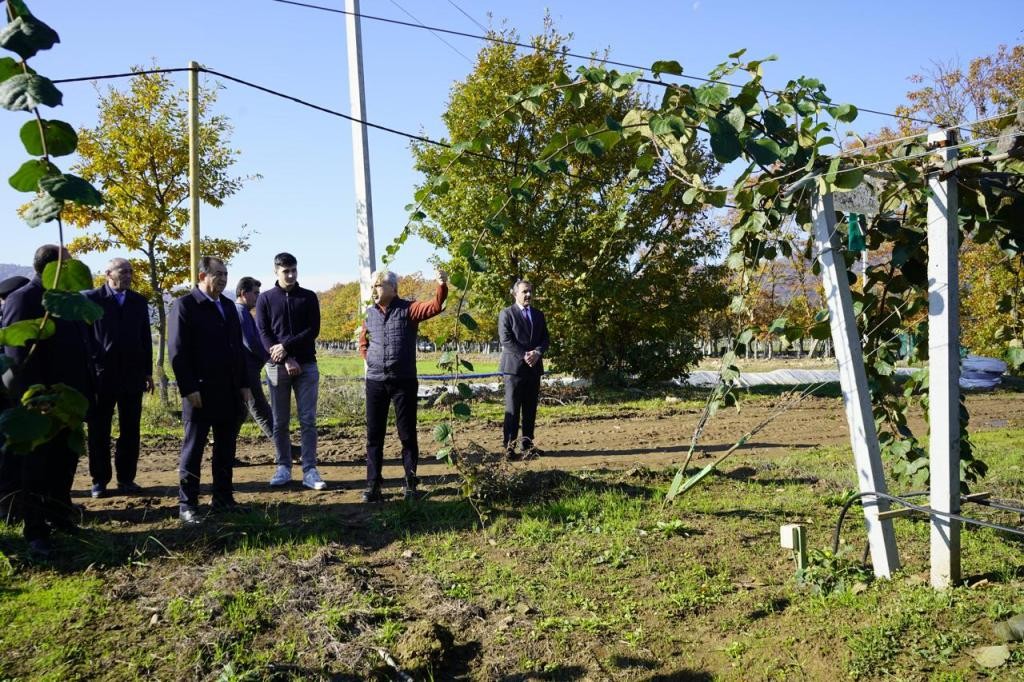 İcra başçısı Taleh Qaraşov yeni salınan meyvə bağı ilə tanış oldu - FOTOLAR