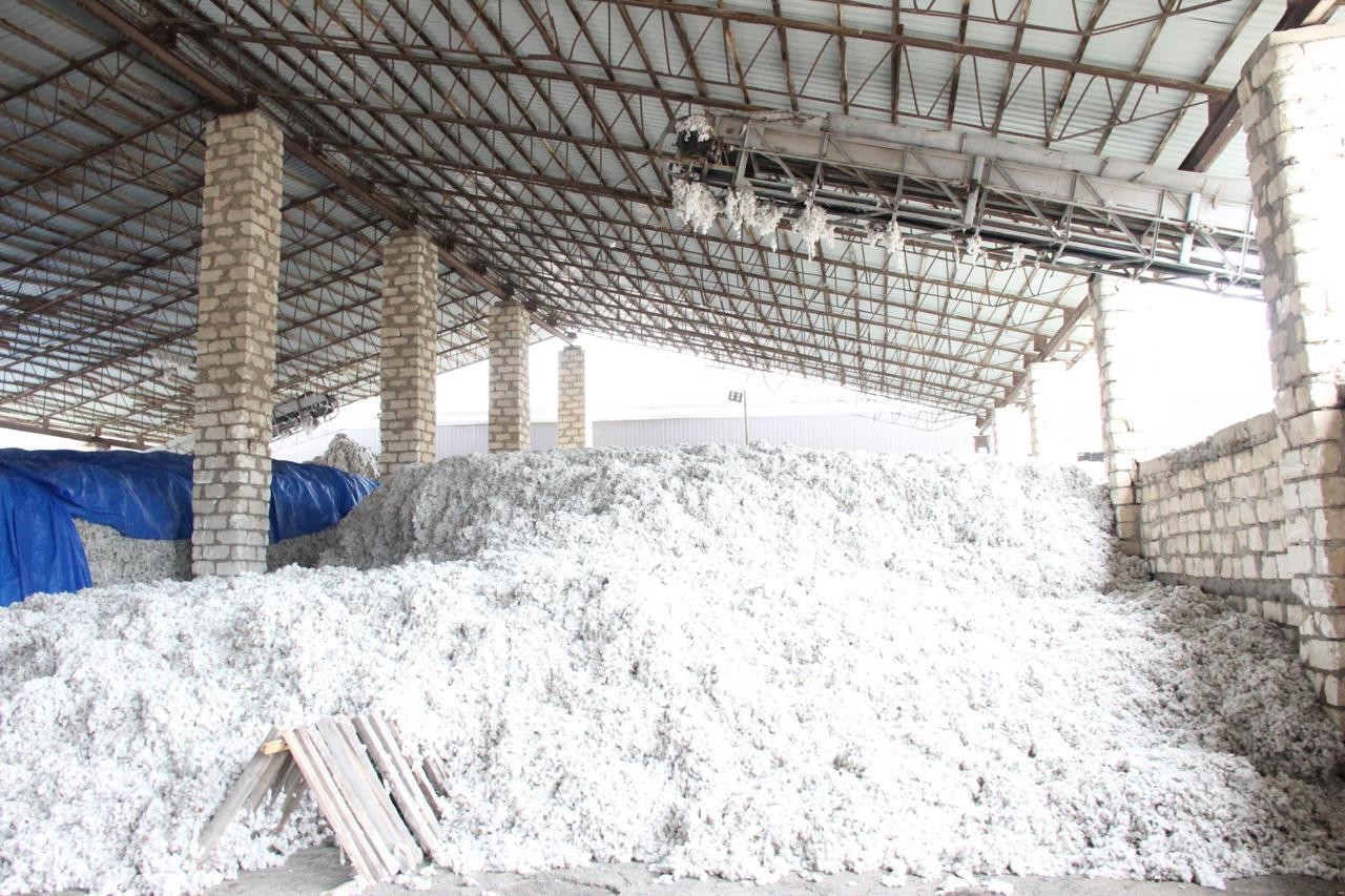 Goranboyun icra başçısı “Goran-Cotton” MMC-nin pambıq qəbulu məntəqəsində - FOTOLAR