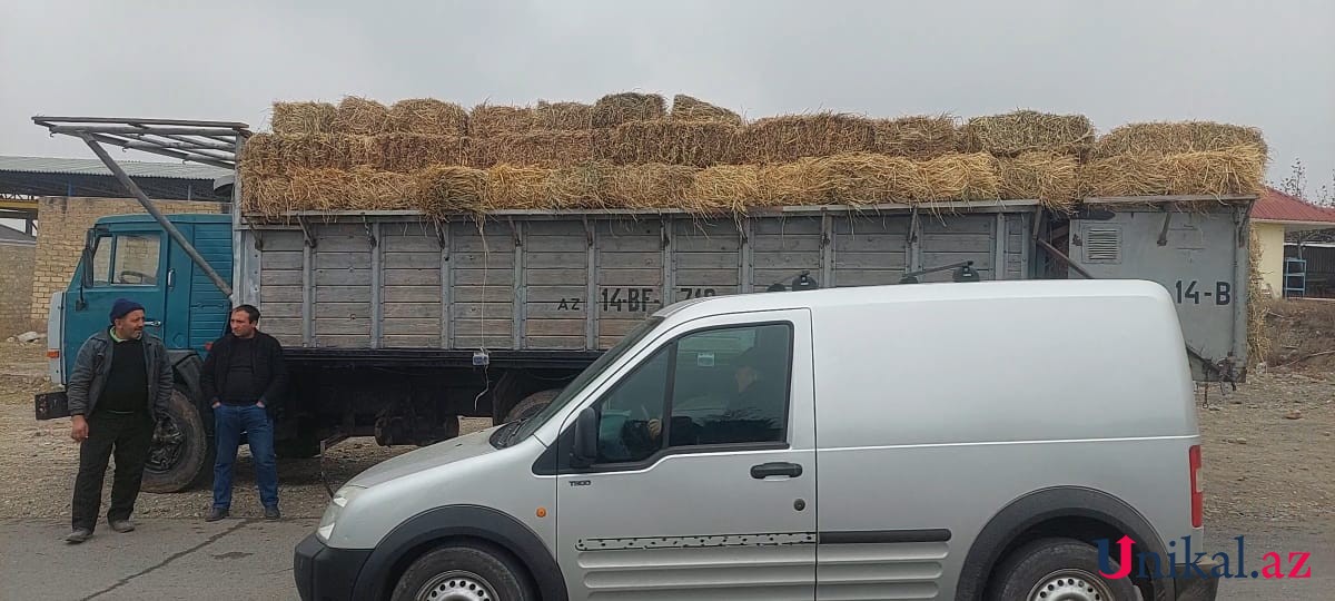 Göygöldə ot maşını "Nissan"la toqquşdu - FOTOLAR