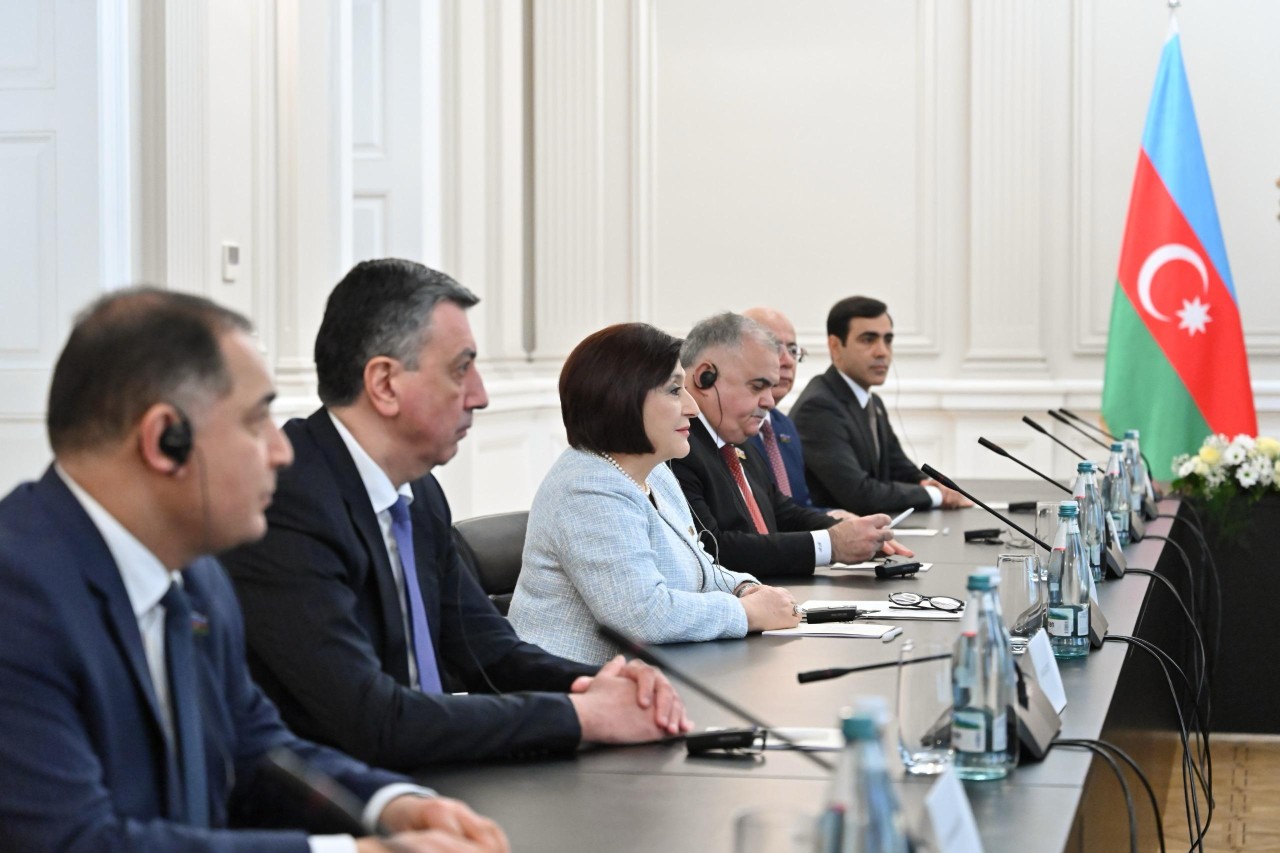 Sahibə Qafarova Gürcüstan prezidenti ilə görüşdü - FOTOLAR