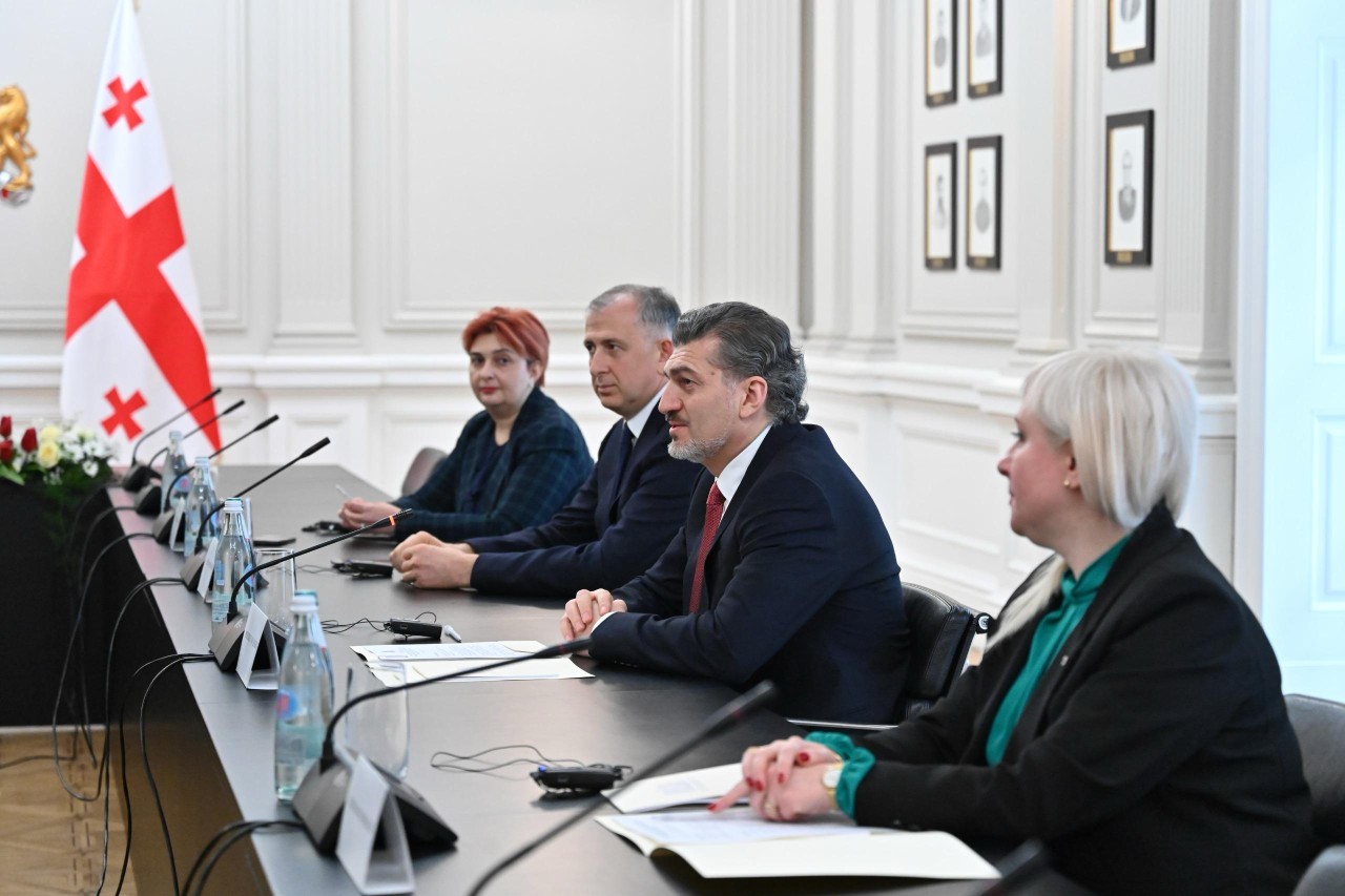 Sahibə Qafarova Gürcüstan prezidenti ilə görüşdü - FOTOLAR
