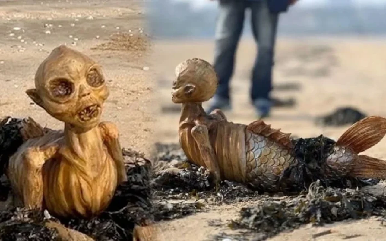 Çimərlikdə tapılan skelet insanları qorxuya saldı - FOTO