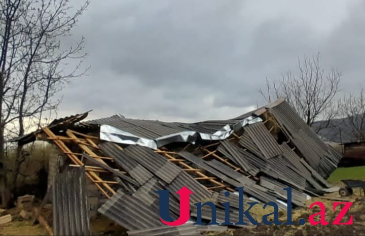 Güclü külək mal tövləsini dağıtdı - FOTO