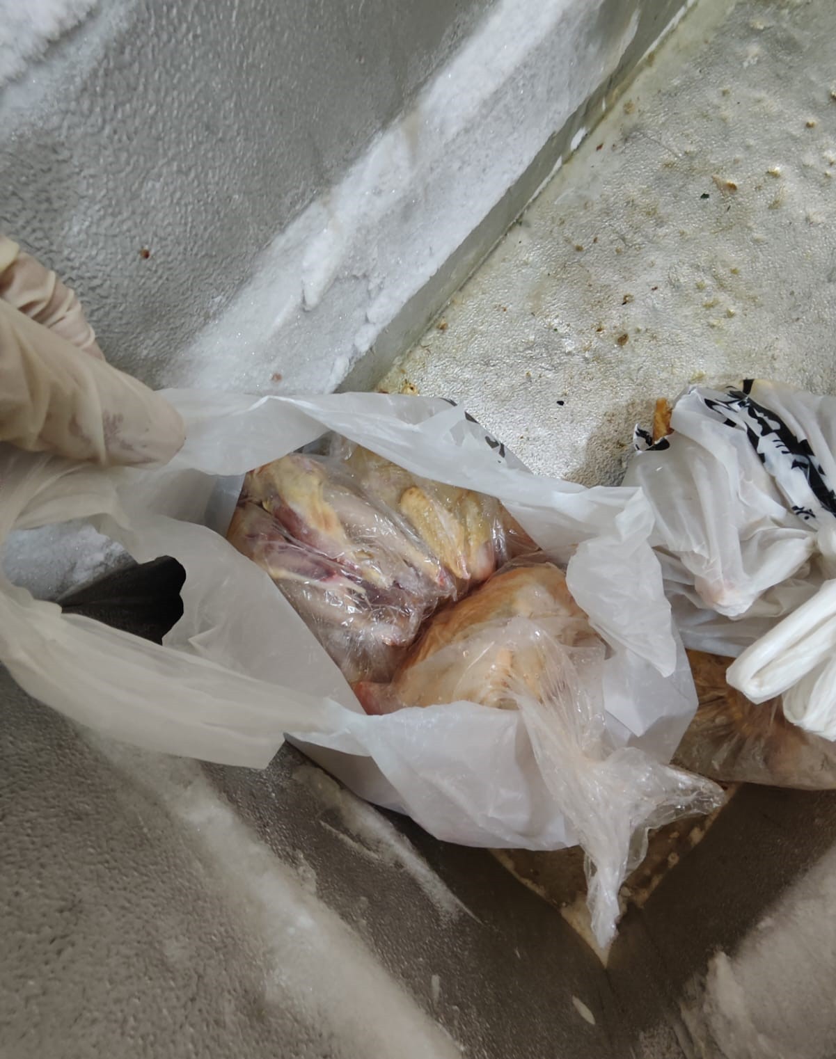 “Qurd Qapısı” restoranında ciddi nöqsanlar aşkarlandı - FOTOLAR