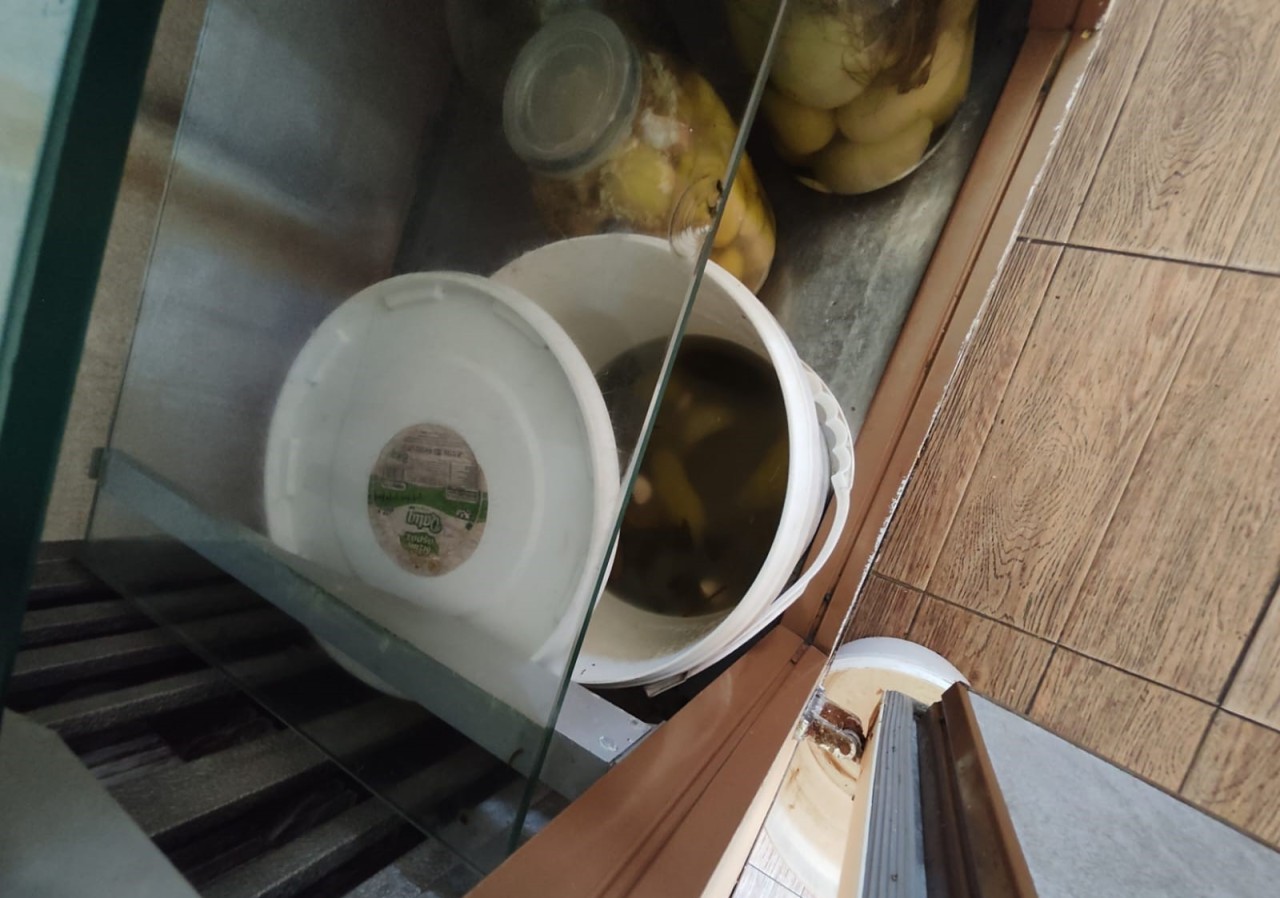 “Qurd Qapısı” restoranında ciddi nöqsanlar aşkarlandı - FOTOLAR