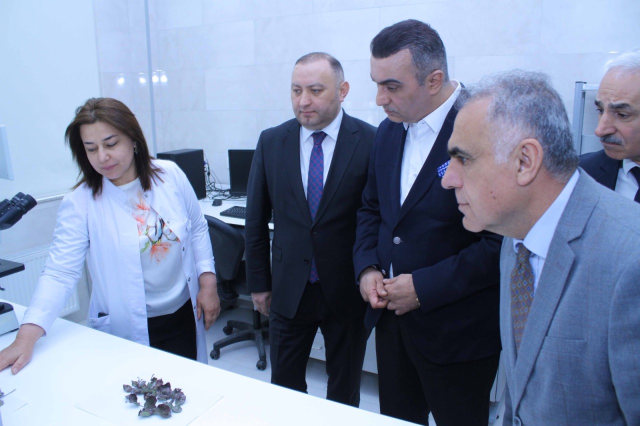 “Azərsun Holding”in nümayəndələri ADAU-da olub - FOTOLAR