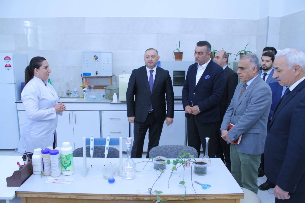 “Azərsun Holding”in nümayəndələri ADAU-da olub - FOTOLAR