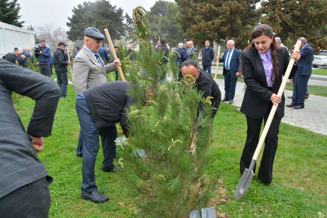 Xətai rayonunda şəhidlərin xatirəsinə həsr edilmiş tədbirlər keçirildi - FOTOLAR