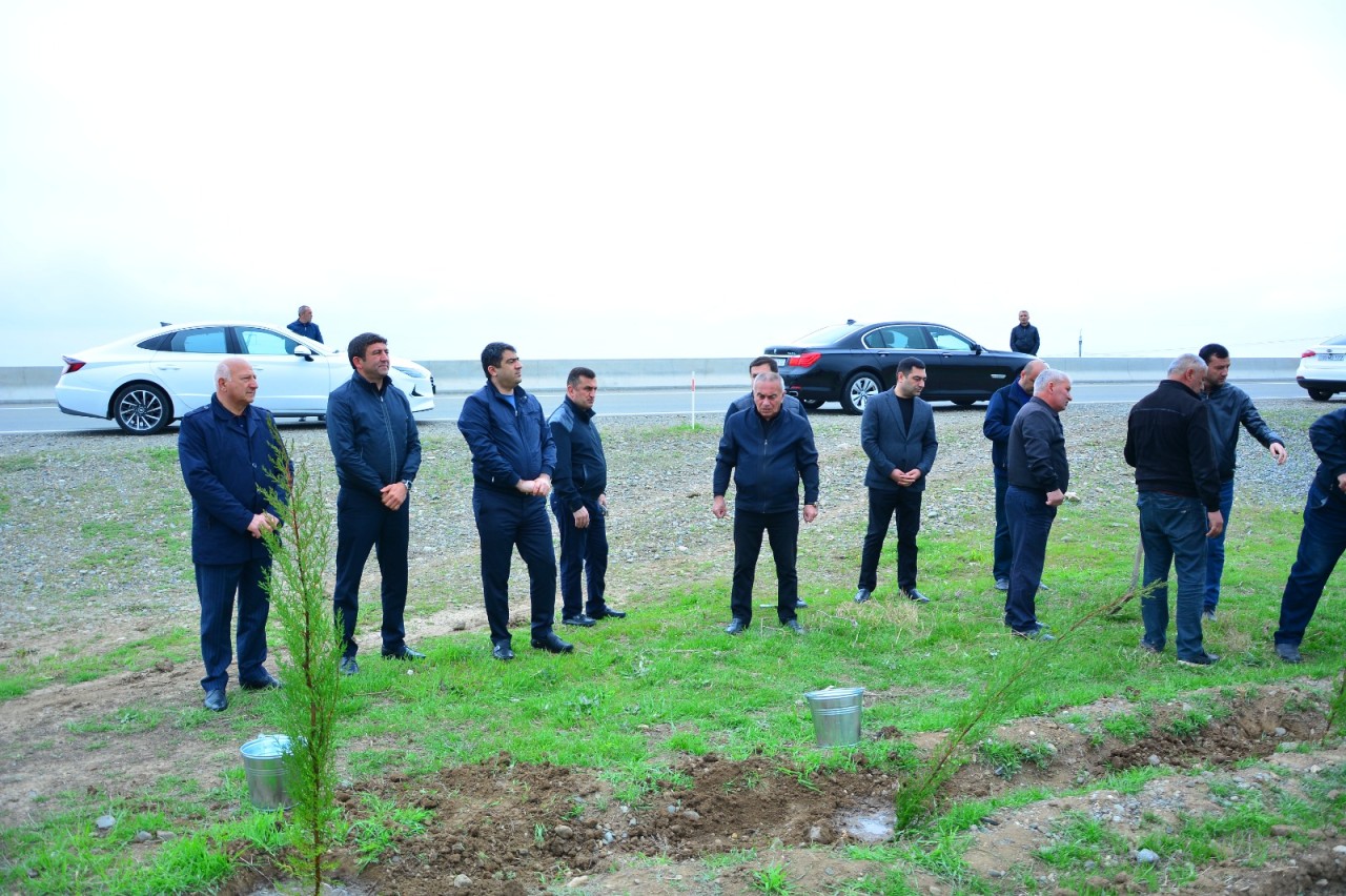 Ağstafada növbəti ağacəkmə aksiyası keçirildi - FOTOLAR