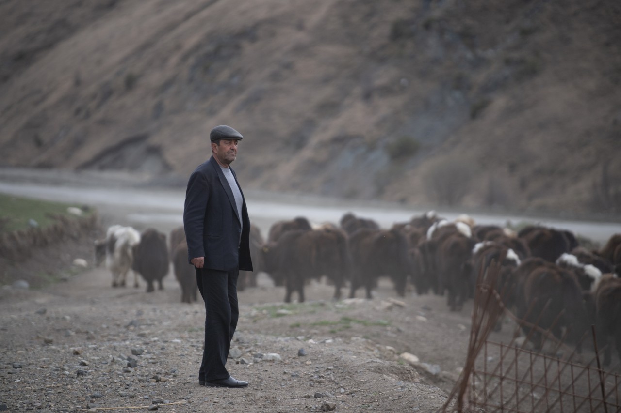 Nazir Kəlbəcər və Ağdərədə təsərrüfatlara baş çəkib, fermerlərlə görüşüb - FOTOLAR