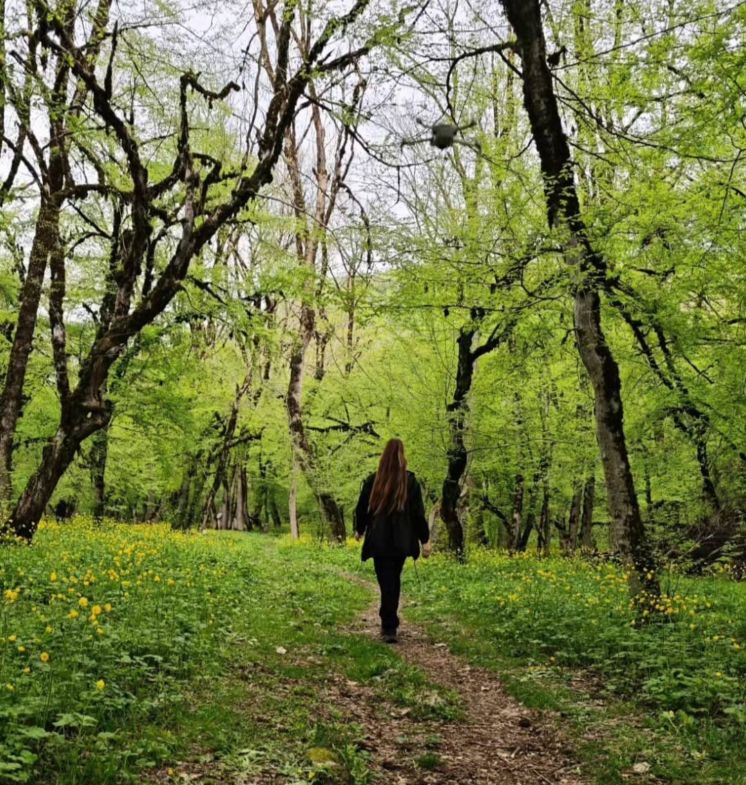 Arzu və Leyla Əliyevalar Qəbələdə - FOTOLAR
