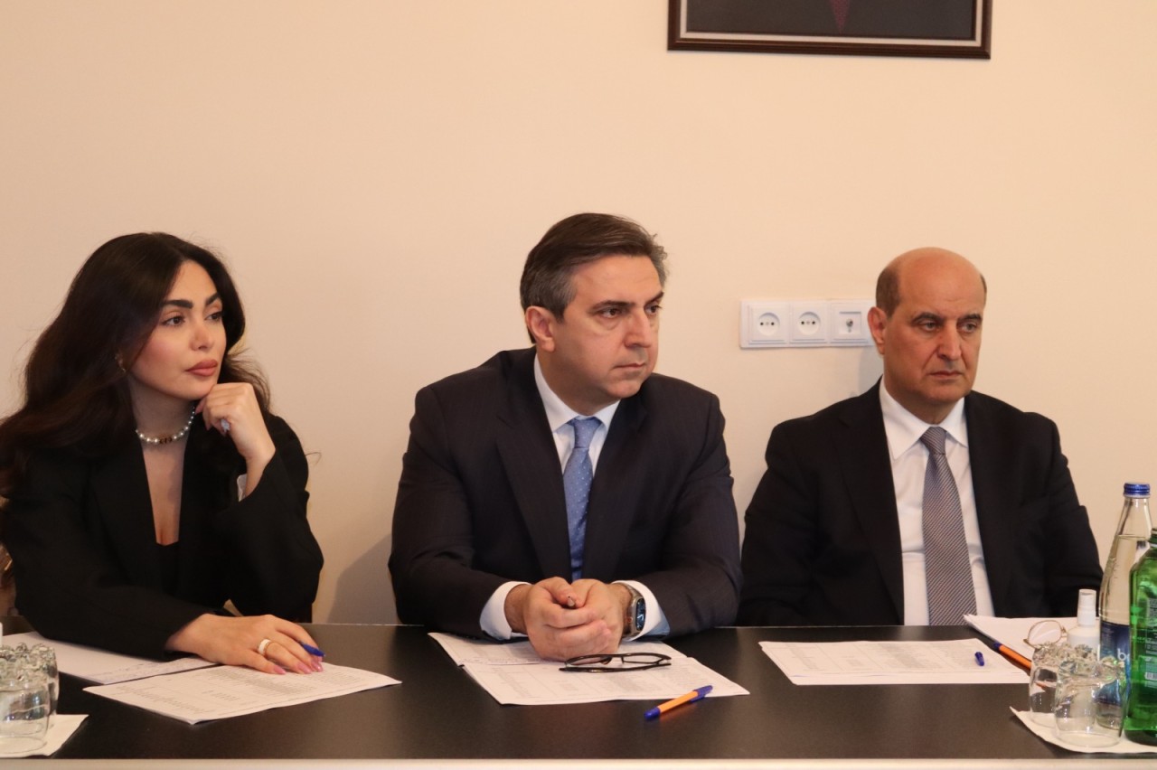 Agentlik sədri Şəmkirdə vətəndaşların müraciətlərini dinlədi - FOTOLAR