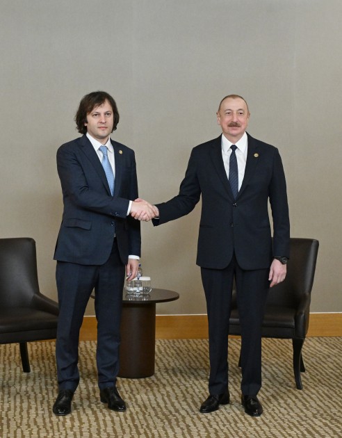 Prezident Kobaxidze ilə görüşdü - FOTOLAR (YENİLƏNİB)