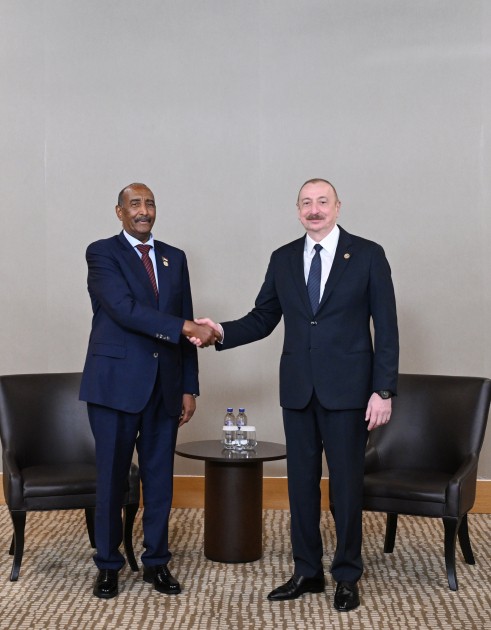 Prezident daha bir görüş keçirdi - FOTOLAR (YENİLƏNİB)