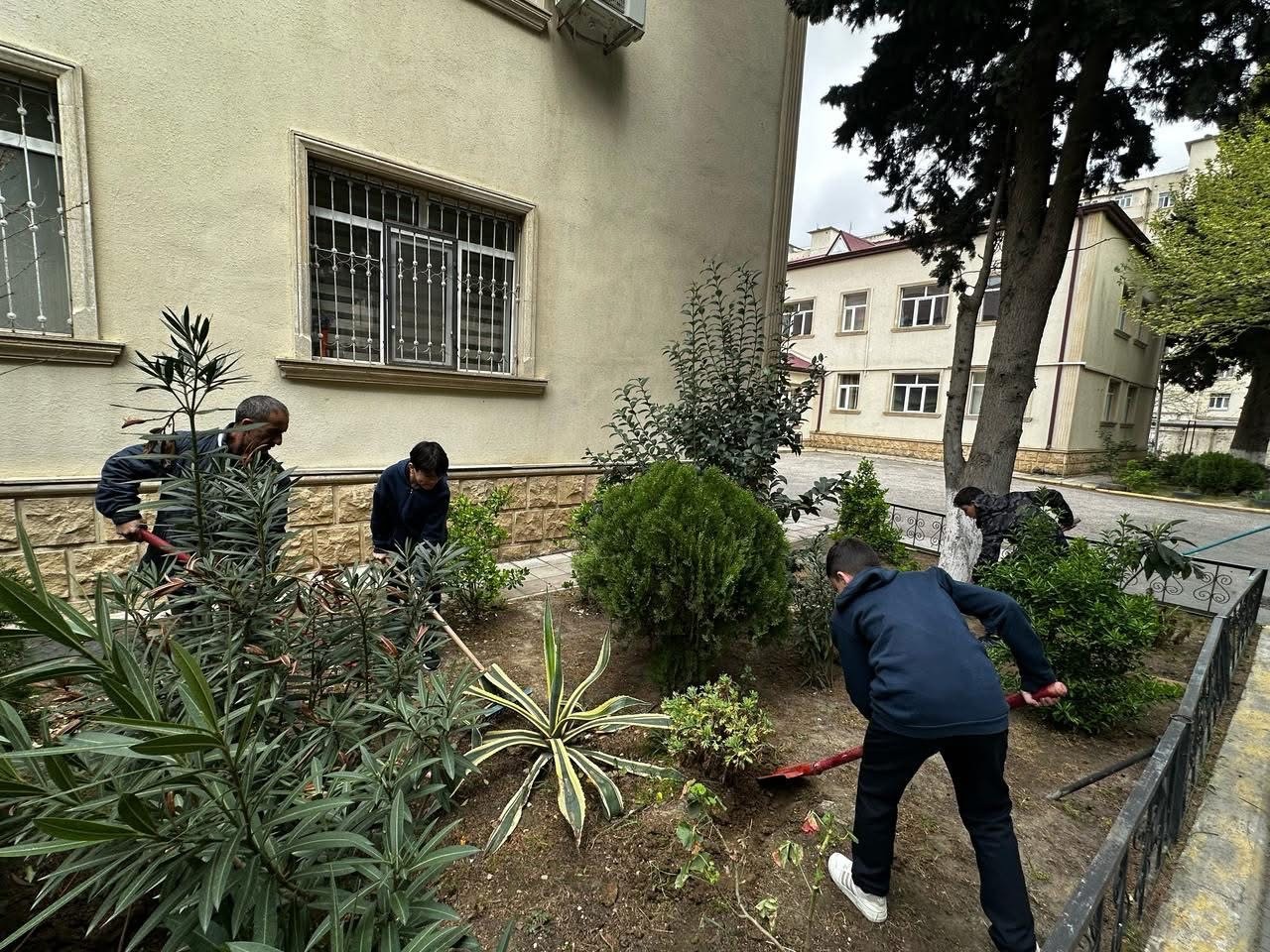 Xətai rayonunda ağacəkmə aksiyası təşkil olunub - FOTOLAR