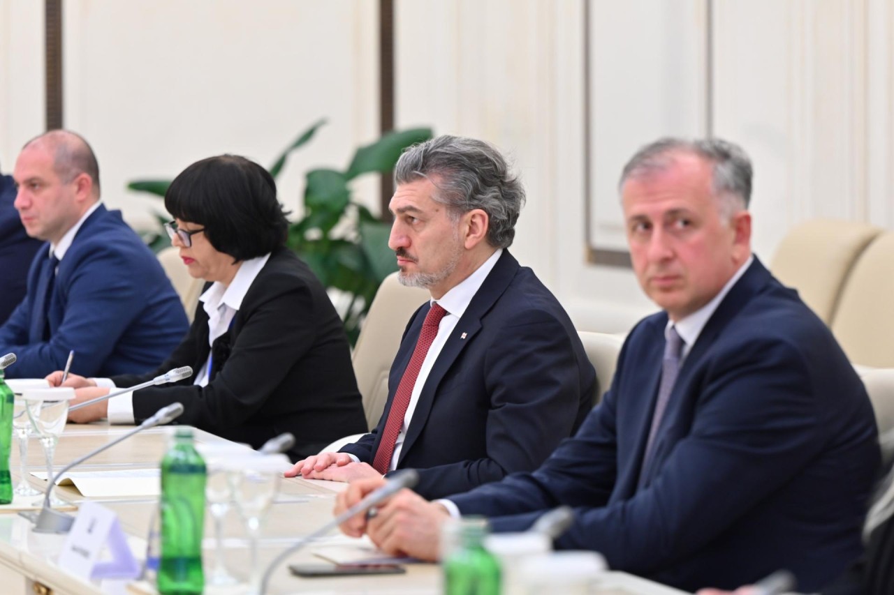 Gürcüstan Prezidenti Milli Məclisdə olub - FOTOLAR