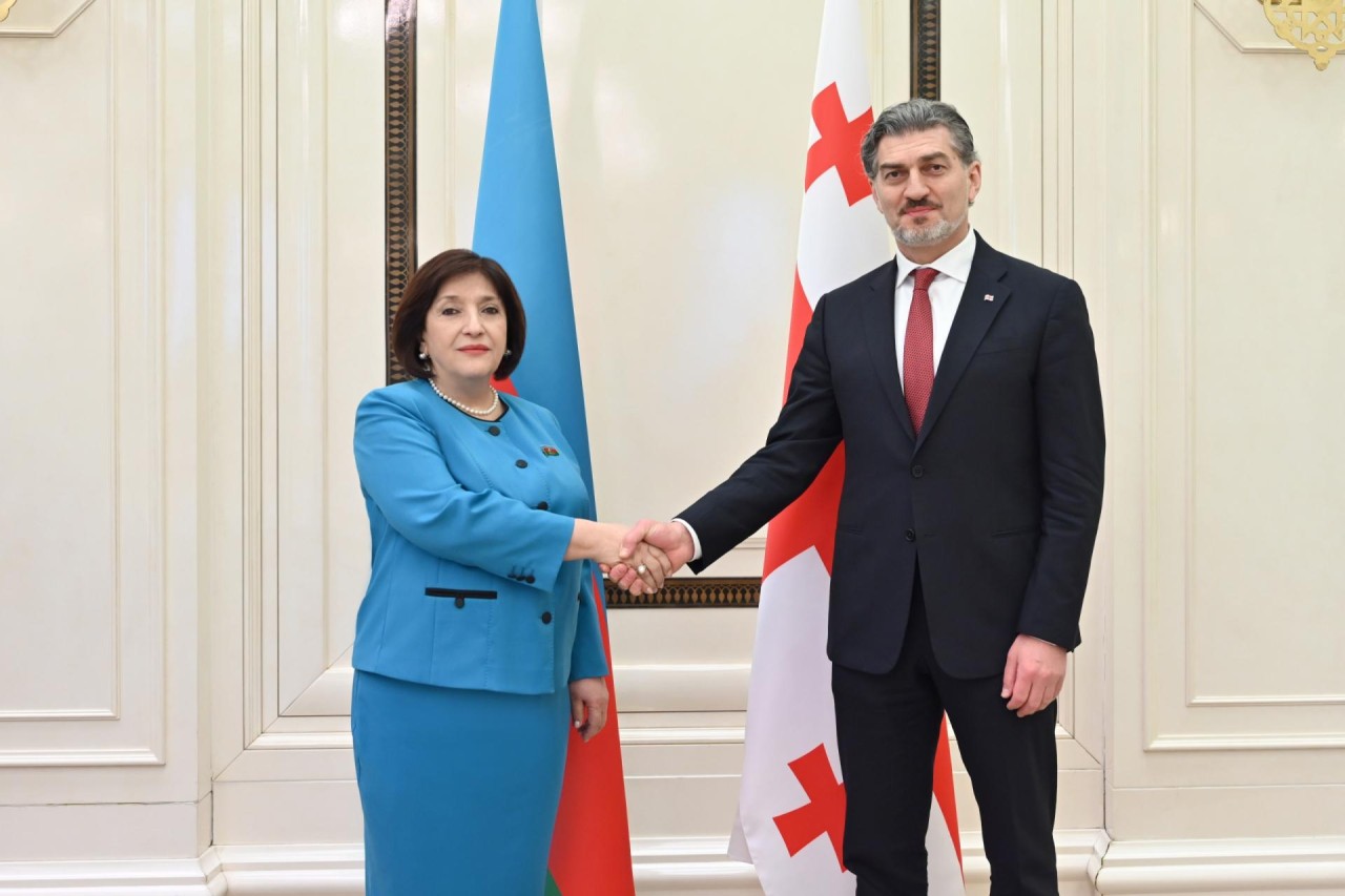 Gürcüstan Prezidenti Milli Məclisdə olub - FOTOLAR