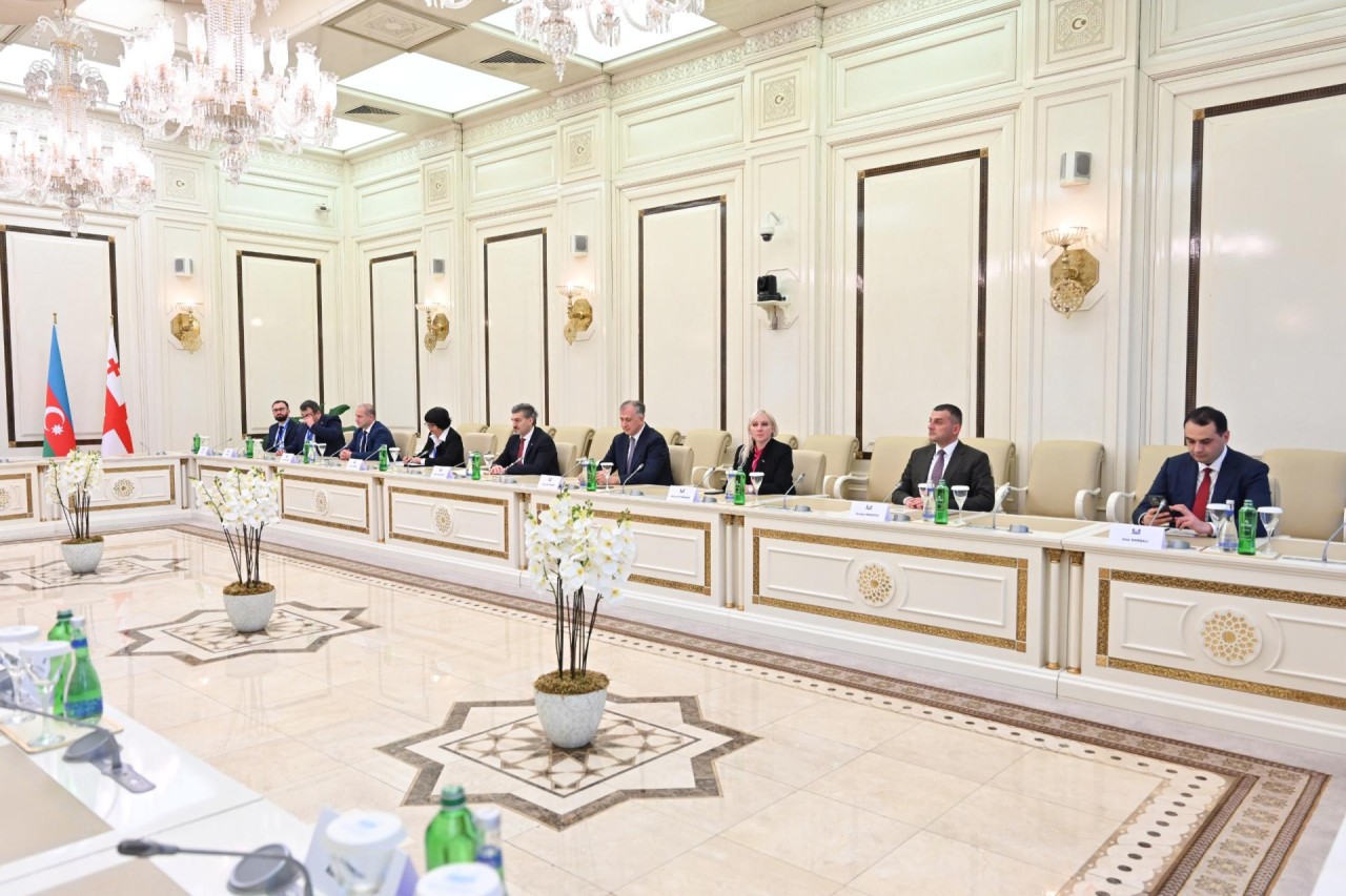 Gürcüstan Prezidenti Milli Məclisdə olub - FOTOLAR